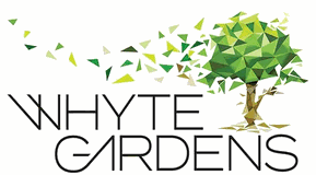Whyte Gardens